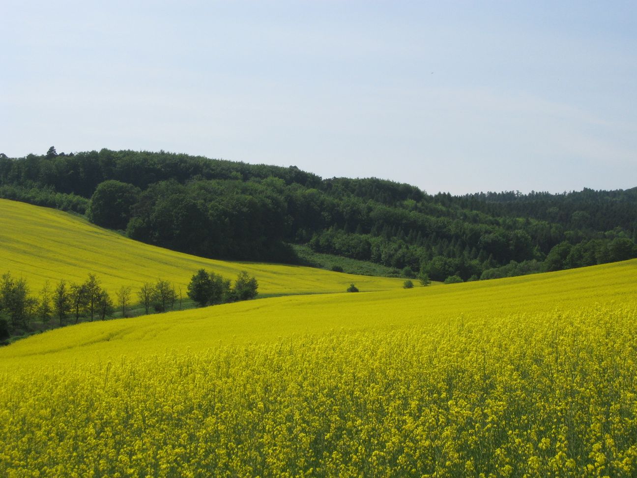 09_jaro.jpg