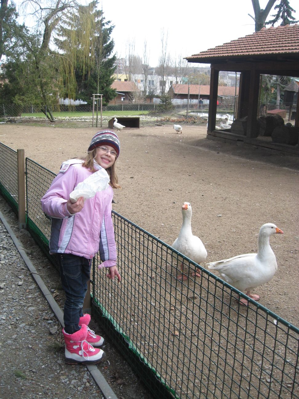 09_husy.jpg